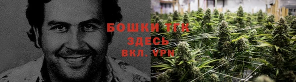 кристаллы Вяземский