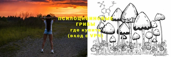 apvp Вязники