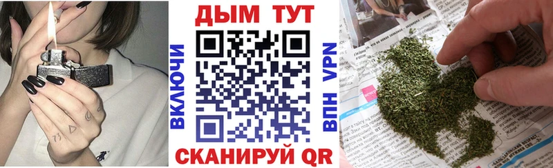 Бошки марихуана сатива  купить   Шарья 